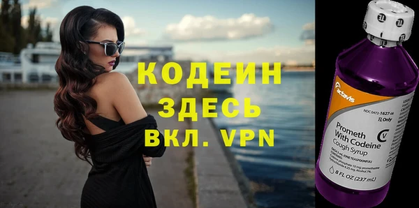 хмурый Бердск