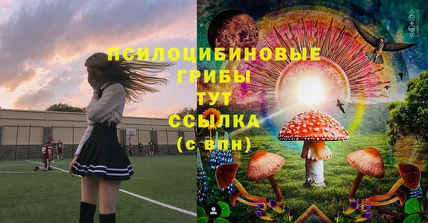 гашик Нефтегорск